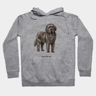 cute newfoundland dog Hoodie